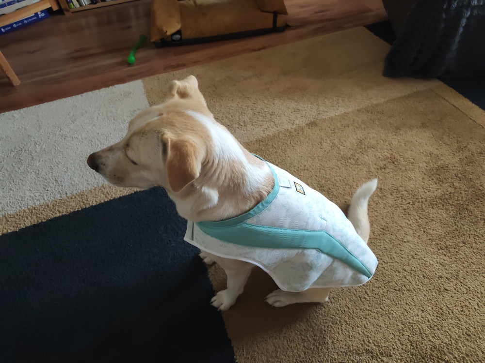      Ruffwear Swamp Cooler hűtőmellény - Kifutó színváltozat