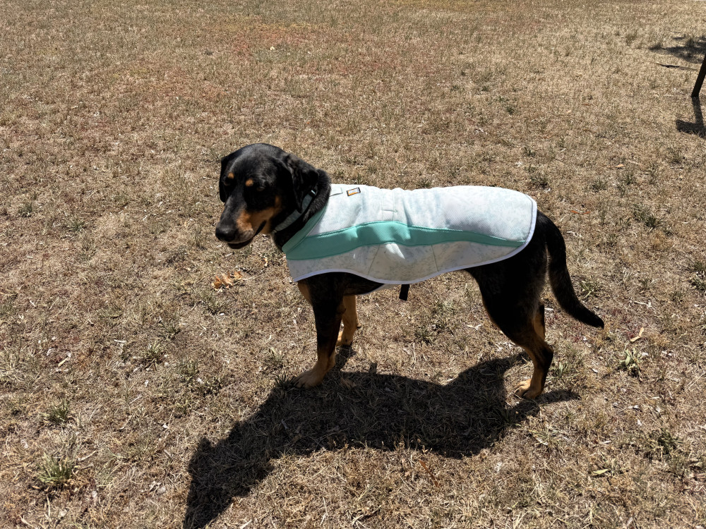    Ruffwear Swamp Cooler hűtőmellény - Kifutó színváltozat
