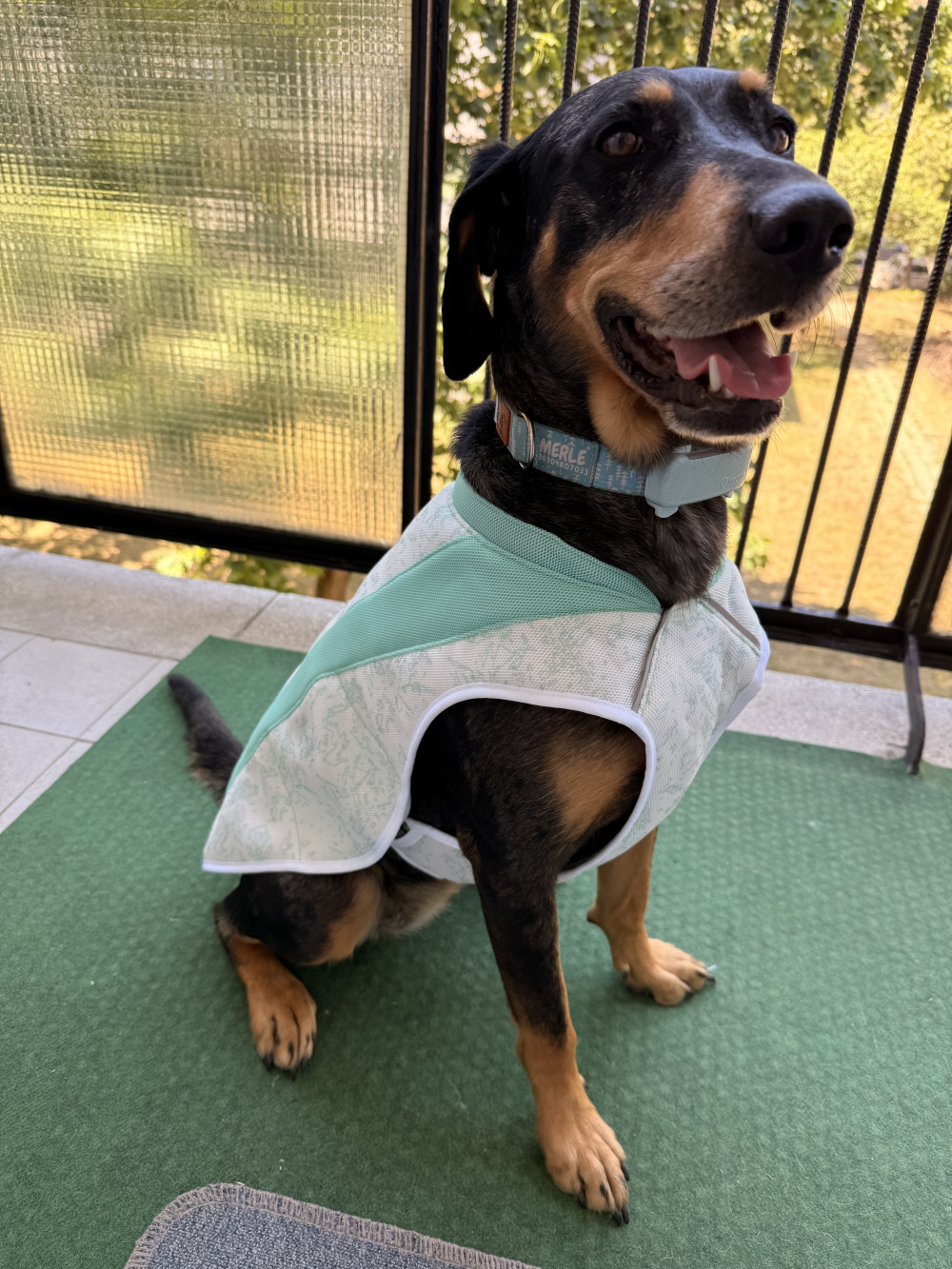    Ruffwear Swamp Cooler hűtőmellény - Kifutó színváltozat
