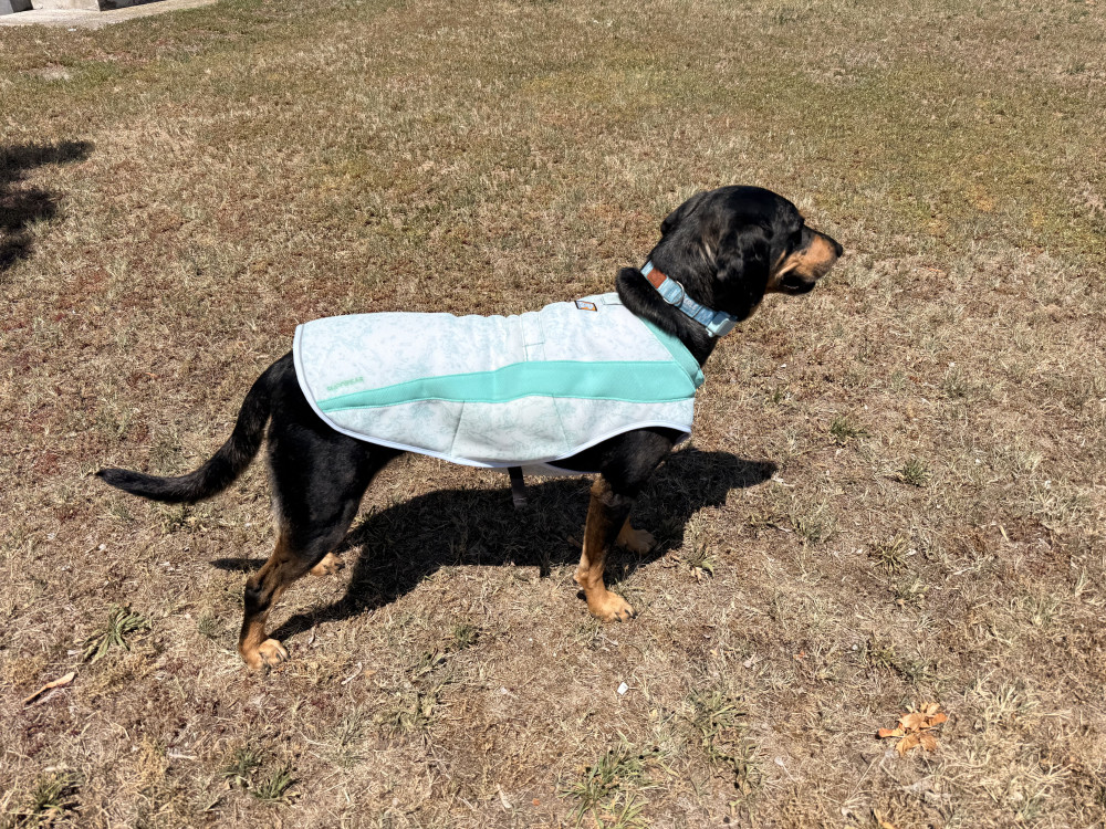    Ruffwear Swamp Cooler hűtőmellény - Kifutó színváltozat
