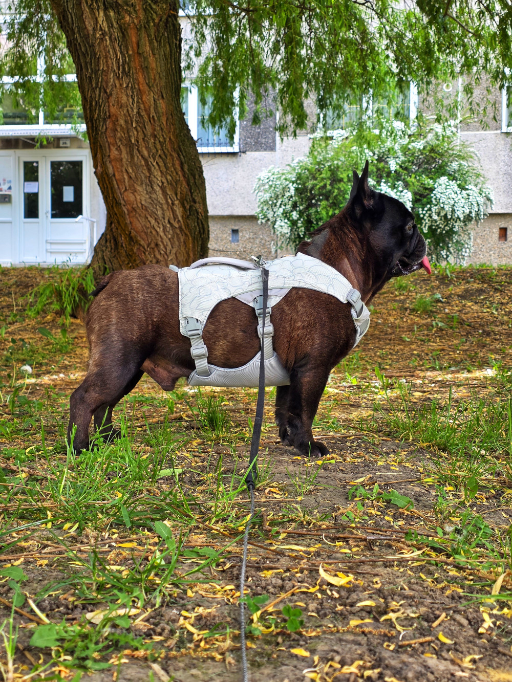 Ruffwear Swamp Cooler hűtőhám kutyáknak
