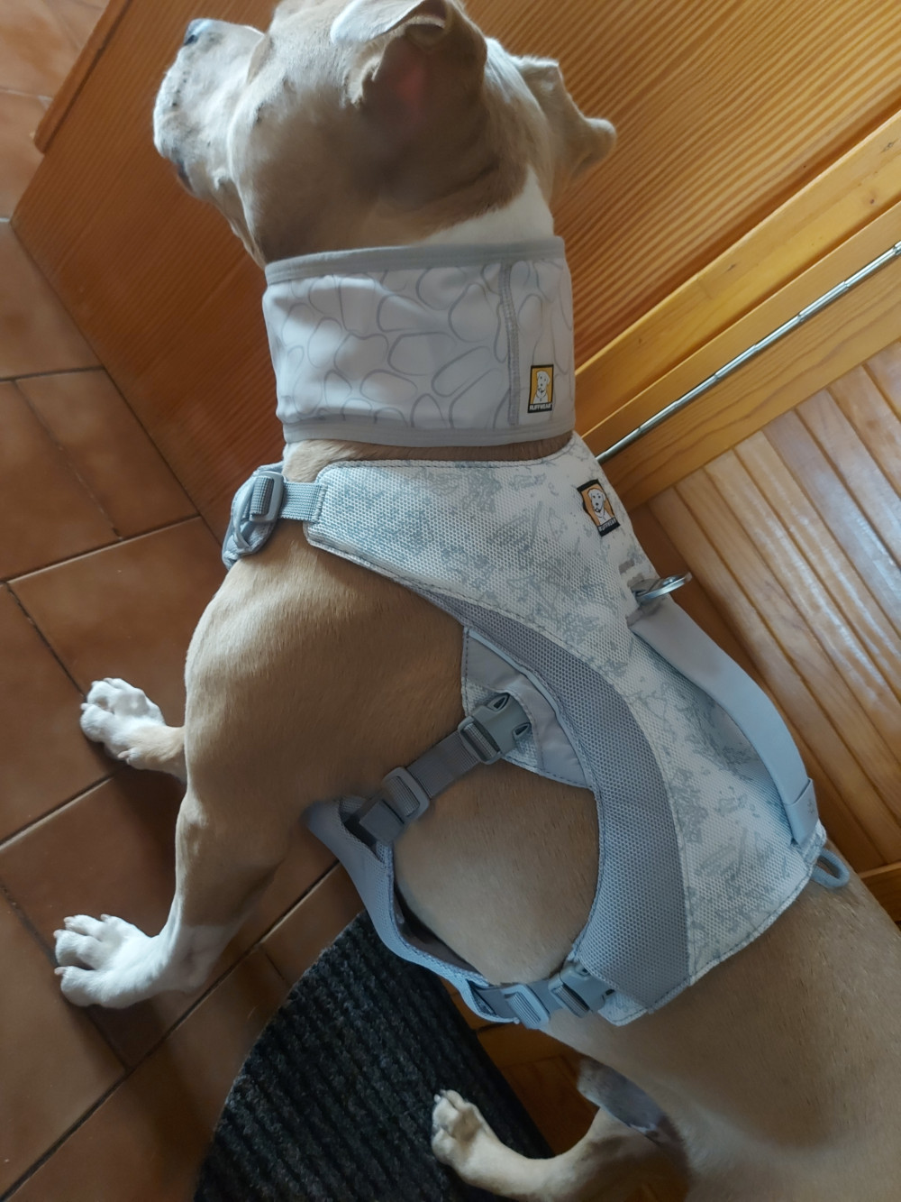     Ruffwear Swamp Cooler hűtőhám kutyáknak - KIFUTÓ SZÍNVÁLTOZAT