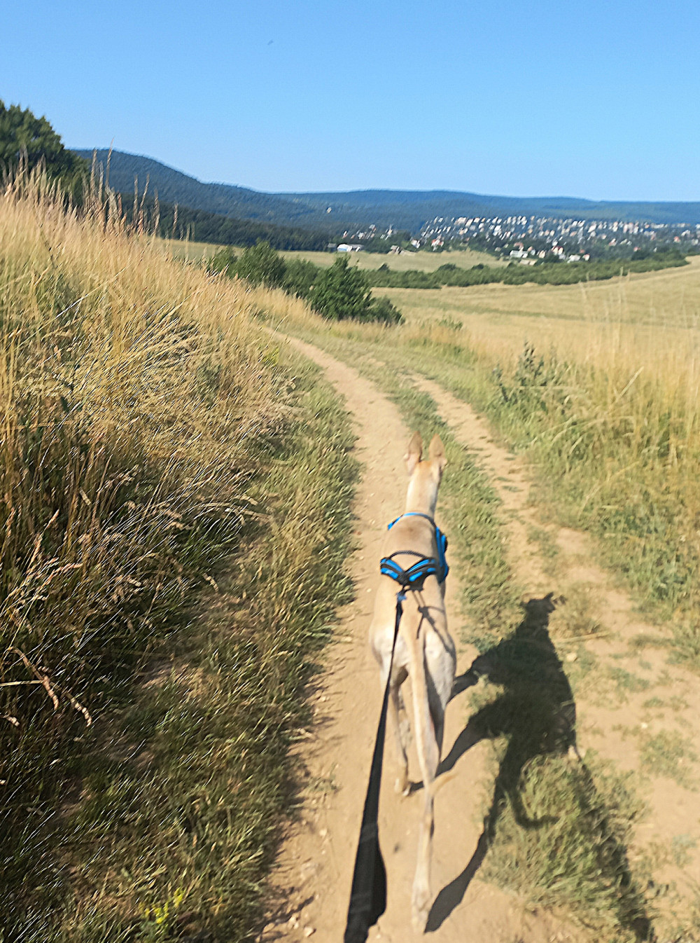 Zero DC Faster húzóhám
